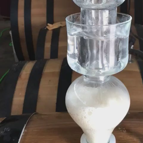 Cargar vídeo: Fermentacion verdejo  maquina&amp;tabla